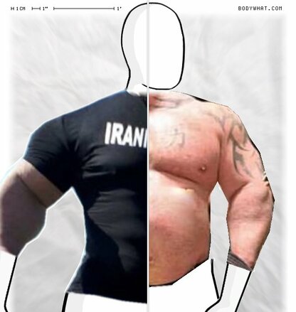 Torso Comparison