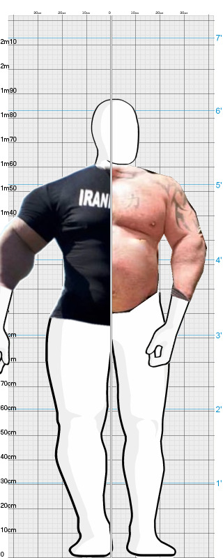 Full Size Comparison