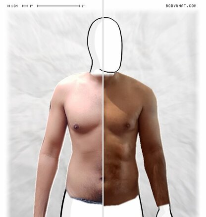 Torso Comparison