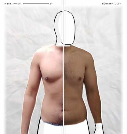 Torso Comparison