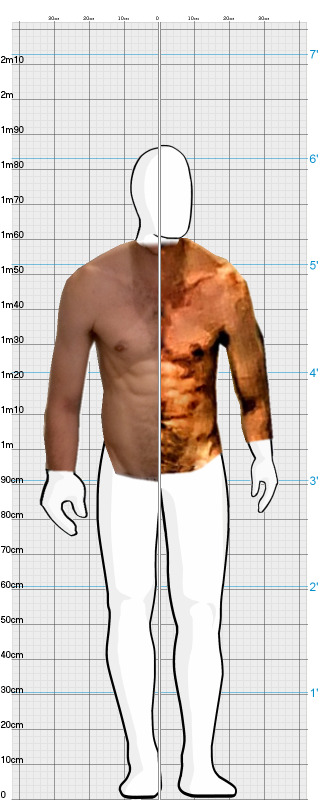 Full Size Comparison