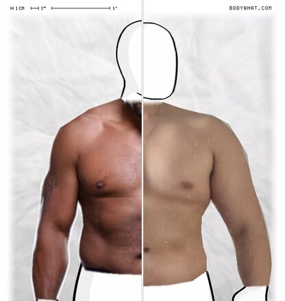 Torso Comparison