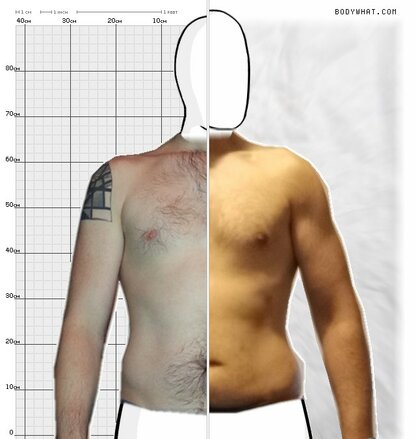 Torso Comparison