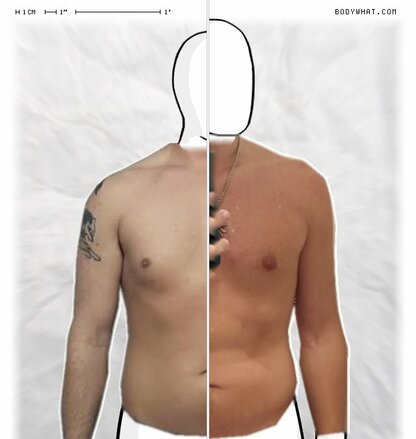 Torso Comparison