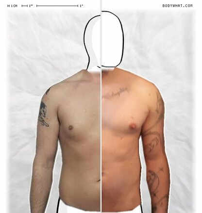 Torso Comparison