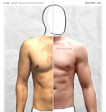 Torso Comparison