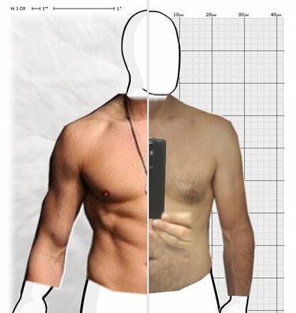 Torso Comparison