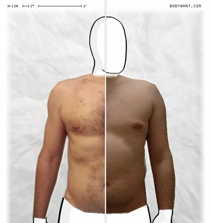 Torso Comparison