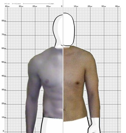 Torso Comparison