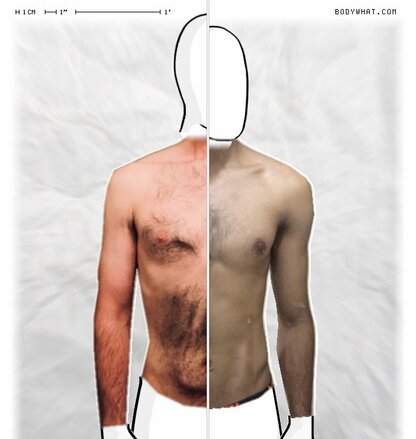 Torso Comparison