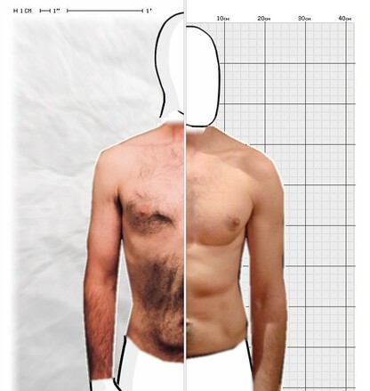 Torso Comparison