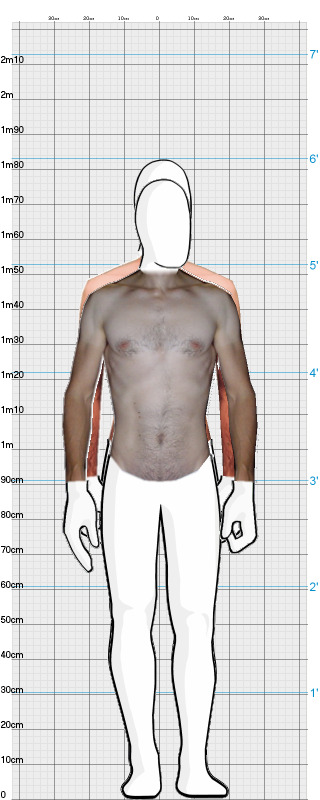 Full Size Comparison