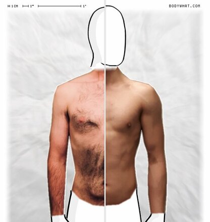 Torso Comparison