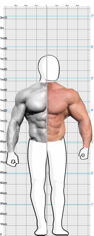 Full Size Comparison