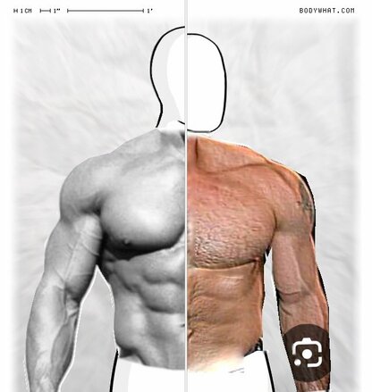 Torso Comparison