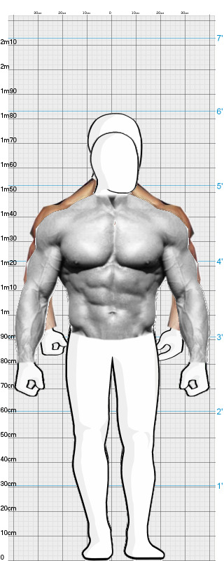 Full Size Comparison