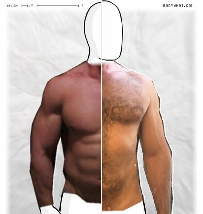 Torso Comparison