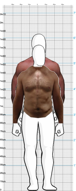 Full Size Comparison