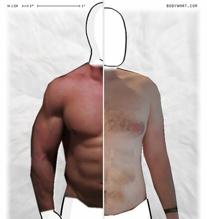 Torso Comparison