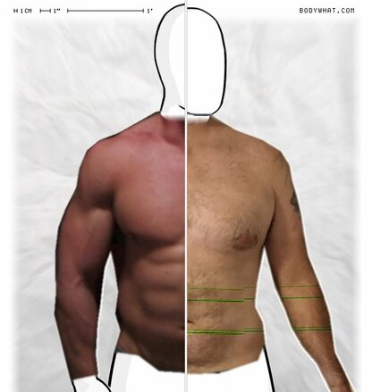 Torso Comparison