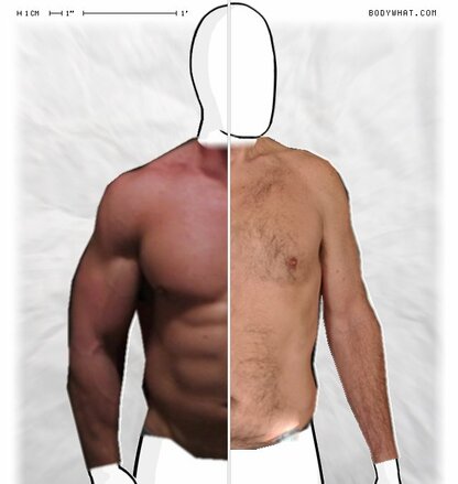 Torso Comparison