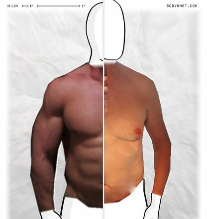 Torso Comparison