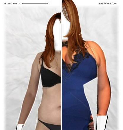 Torso Comparison