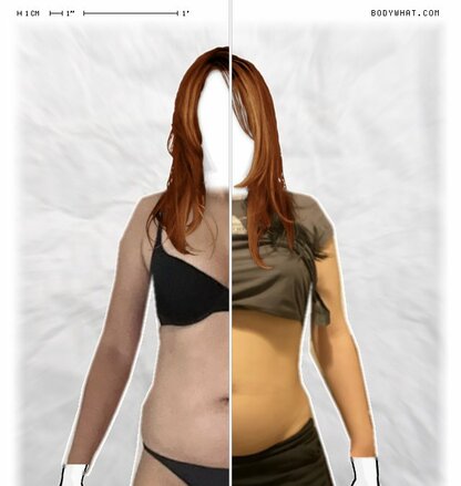 Torso Comparison