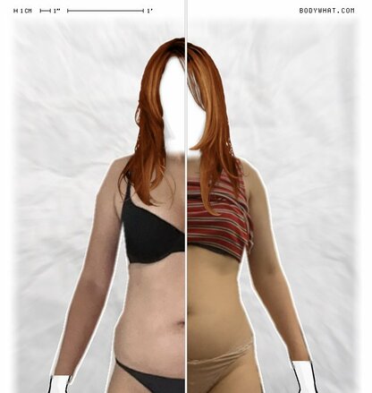Torso Comparison
