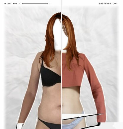 Torso Comparison