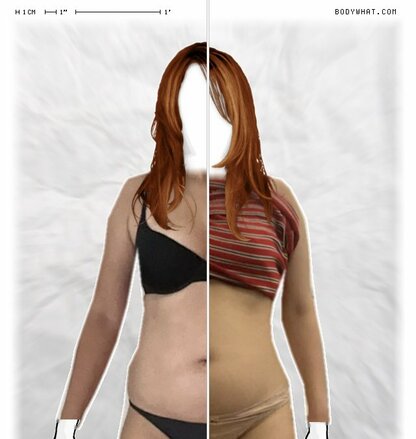 Torso Comparison