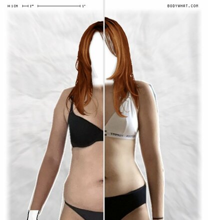 Torso Comparison