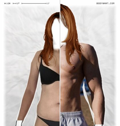 Torso Comparison