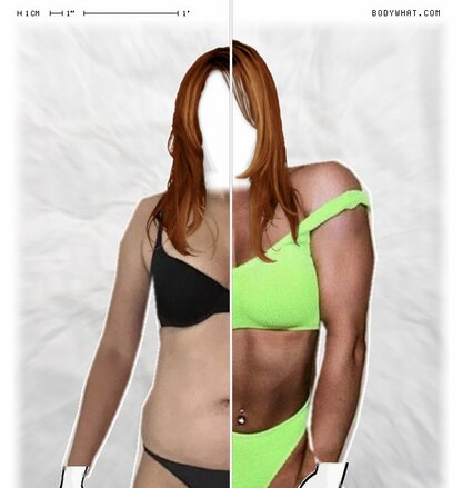 Torso Comparison