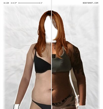 Torso Comparison