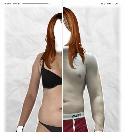 Torso Comparison