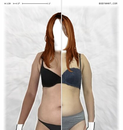 Torso Comparison