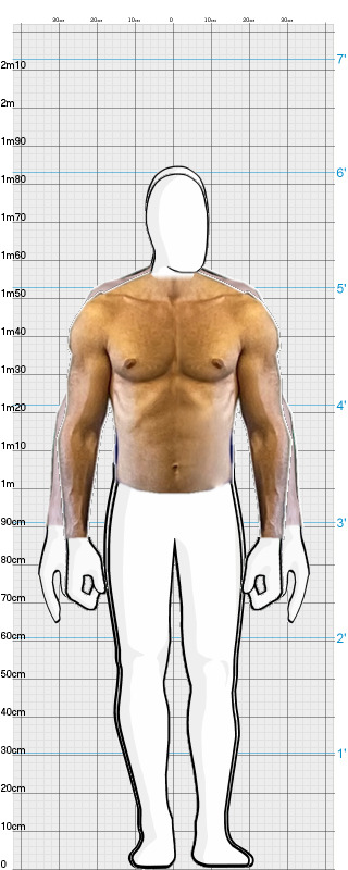 Full Size Comparison