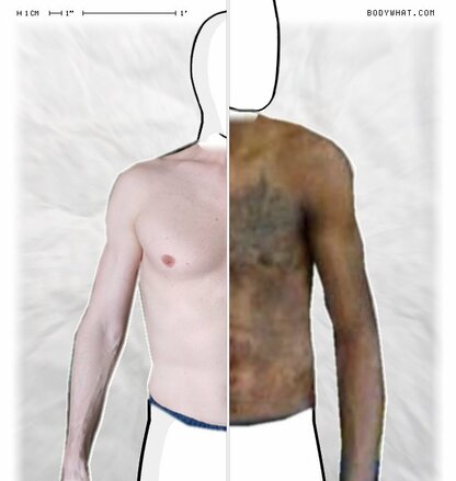 Torso Comparison