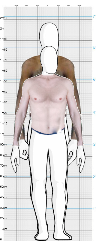 Full Size Comparison