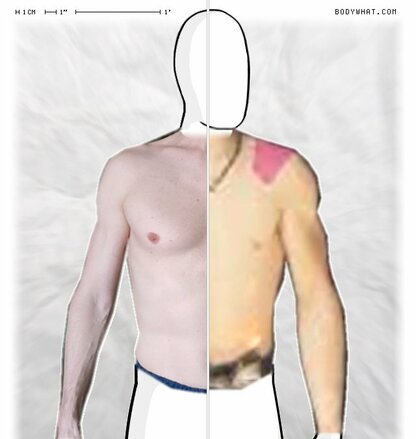 Torso Comparison