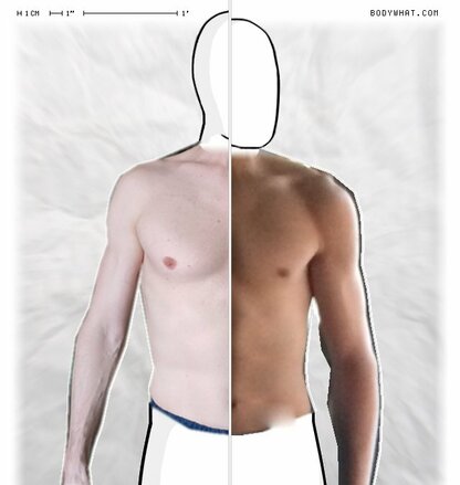 Torso Comparison