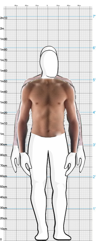 Full Size Comparison