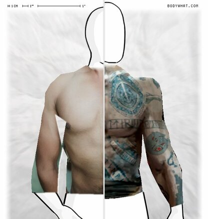 Torso Comparison