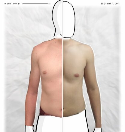 Torso Comparison