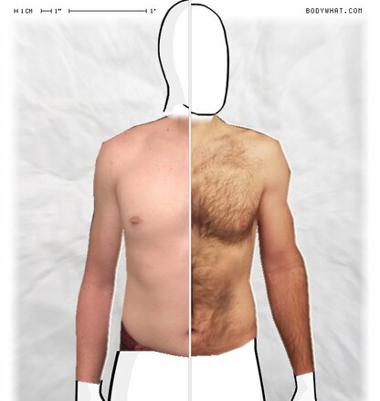 Torso Comparison