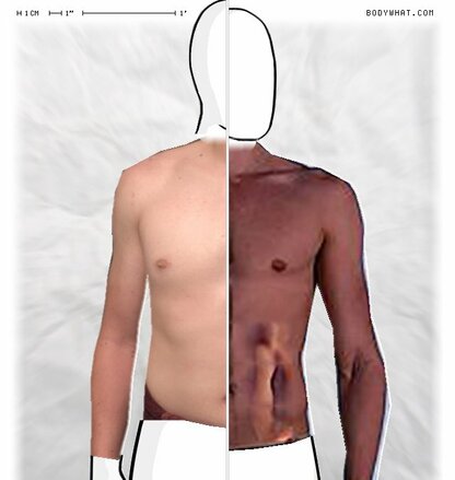 Torso Comparison