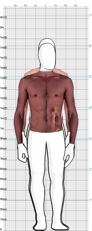 Full Size Comparison
