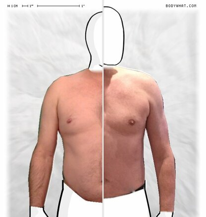 Torso Comparison