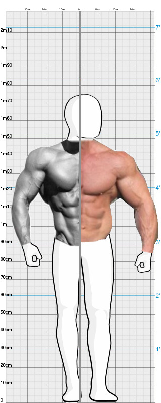 Full Size Comparison